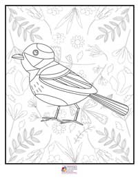 Birds Coloring Pages 10B