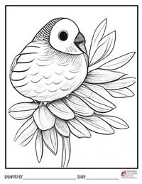 Birds Coloring Pages 11 - Colored By