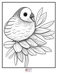 Birds Coloring Pages 11B