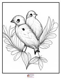 Birds Coloring Pages 12B