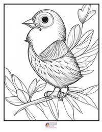 Birds Coloring Pages 13B