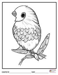 Birds Coloring Pages 14 - Colored By