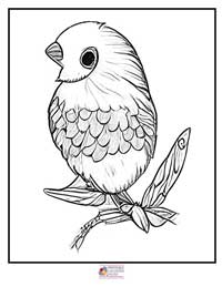 Birds Coloring Pages 14B