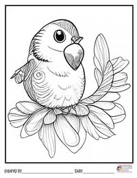 Birds Coloring Pages 15 - Colored By