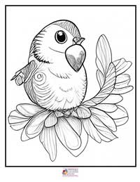 Birds Coloring Pages 15B