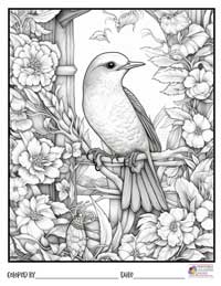 Birds Coloring Pages 16 - Colored By