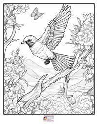 Birds Coloring Pages 17B
