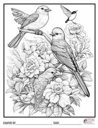 Birds Coloring Pages 18 - Colored By