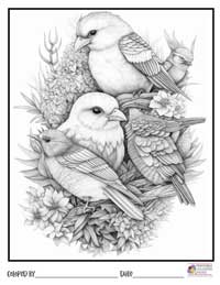 Birds Coloring Pages 19 - Colored By