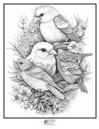 Birds Coloring Pages 19B
