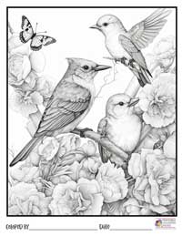 Birds Coloring Pages 20 - Colored By