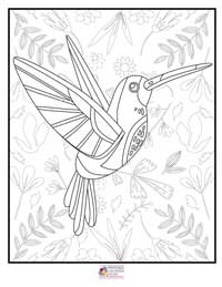 Birds Coloring Pages 2B