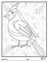 Birds Coloring Pages 3 - Colored By