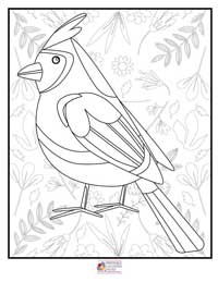 Birds Coloring Pages 3B
