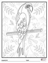 Birds Coloring Pages 5 - Colored By