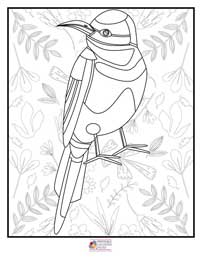 Birds Coloring Pages 7B