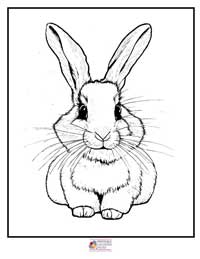 Bunny Coloring Pages 11B