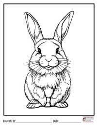 Bunny Coloring Pages 12 - Colored By