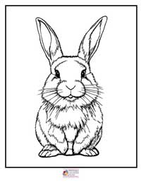 Bunny Coloring Pages 12B