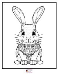 Bunny Coloring Pages 13B