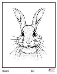 Bunny Coloring Pages 14 - Colored By