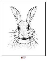 Bunny Coloring Pages 14B