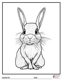 Bunny Coloring Pages 15 - Colored By
