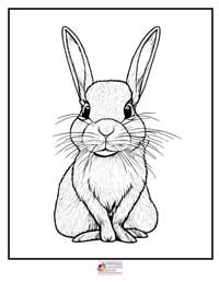 Bunny Coloring Pages 15B