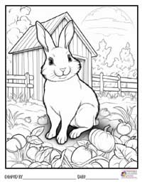 Bunny Coloring Pages 17 - Colored By