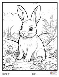 Bunny Coloring Pages 18 - Colored By