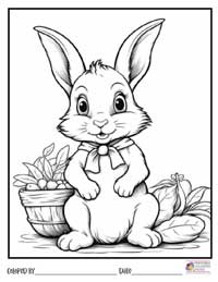 Bunny Coloring Pages 3 - Colored By