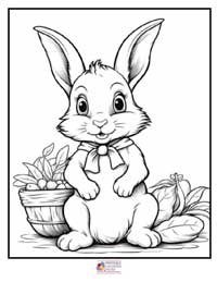 Bunny Coloring Pages 3B