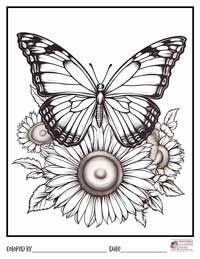 Butterfly Coloring Pages 1 - Colored By