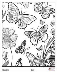 Butterfly Coloring Pages 17 - Colored By