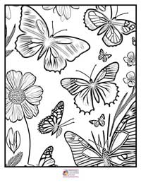 Butterfly Coloring Pages 17B