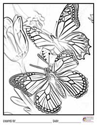 Butterfly Coloring Pages 18 - Colored By