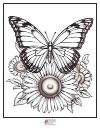 Butterfly Coloring Pages 1B