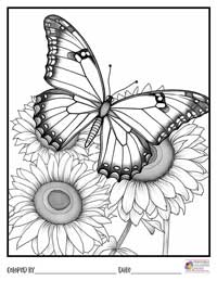 Butterfly Coloring Pages 2 - Colored By