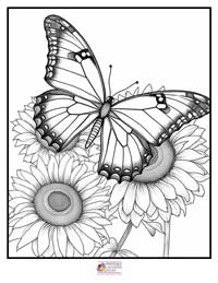 Butterfly Coloring Pages 2B