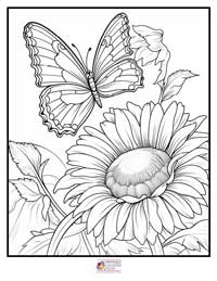 Butterfly Coloring Pages 3B