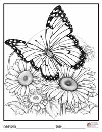 Butterfly Coloring Pages 4 - Colored By