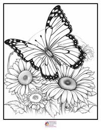 Butterfly Coloring Pages 4B
