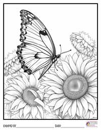 Butterfly Coloring Pages 5 - Colored By