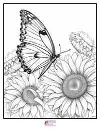 Butterfly Coloring Pages 5B