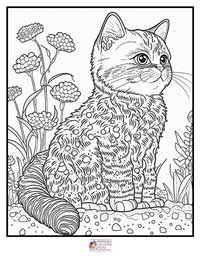 Cats Coloring Pages 15B