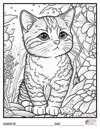 Cats Coloring Pages 2 - Colored By