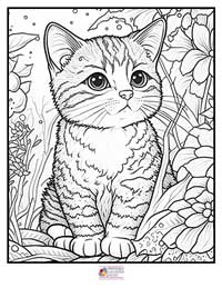 Cats Coloring Pages 2B