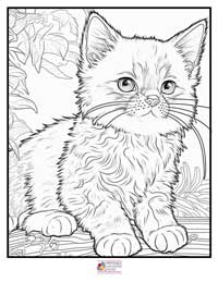 Cats Coloring Pages 3B