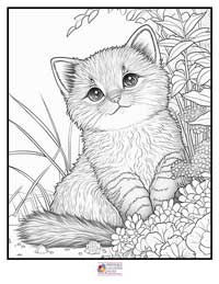 Cats Coloring Pages 5B