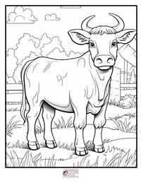 Cow Coloring Pages 9B